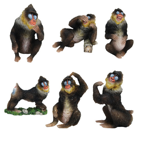 6604 Mandrill (Set of 6)