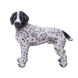 7642 German Shorthair Pointer