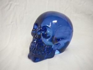 7681 Blue Translucent Skull