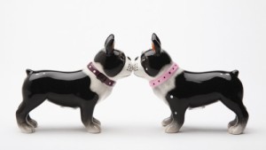 8159 The Boston Pups
