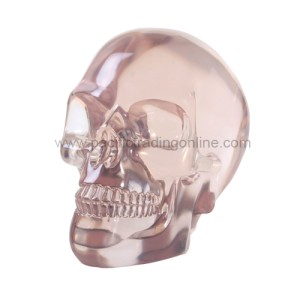 8259 Crystal Skull