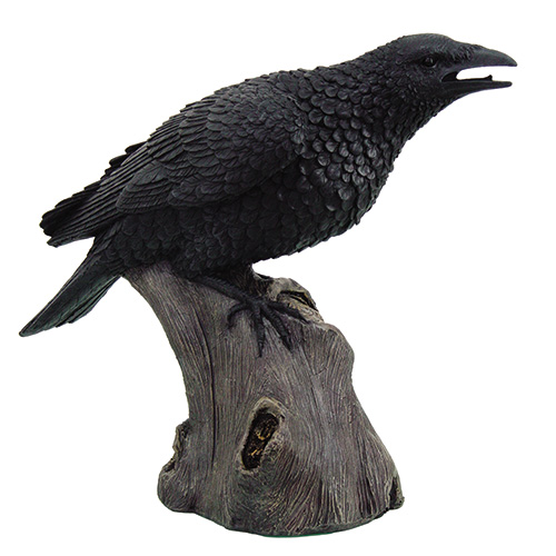 9543 Large Raven ***Out of Stock***
