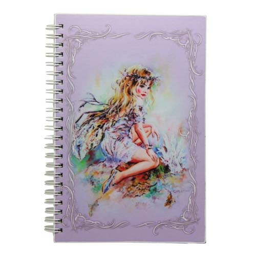 NOW8201 The Crystal Keeper Fairies Medium Journal