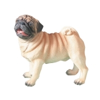 Dogs
