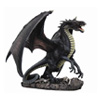 Dragons
