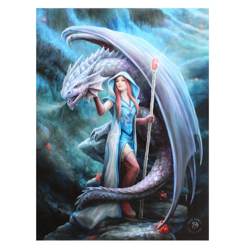 13827 Dragon Mage Canvas 7.5"W x 9.85"H Frame Art