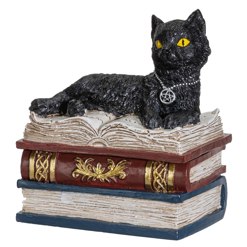 13869 Wiccan Black Cat Trinket Box