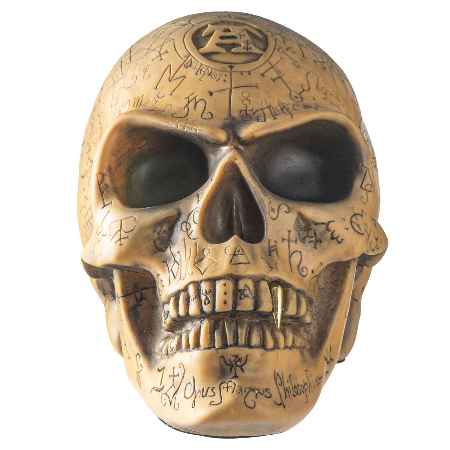 14045 Omega Skull