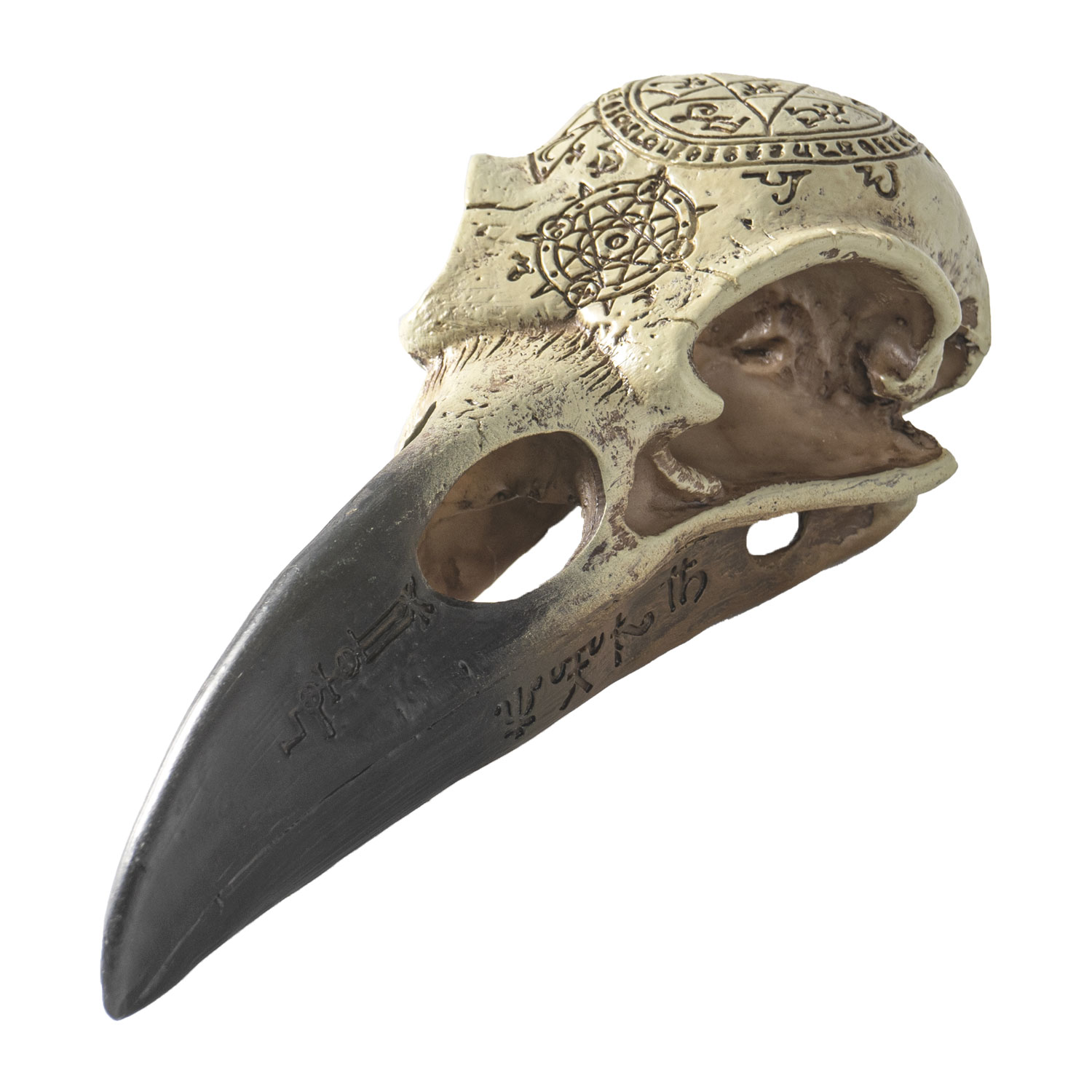 14048 Omega Raven Skull