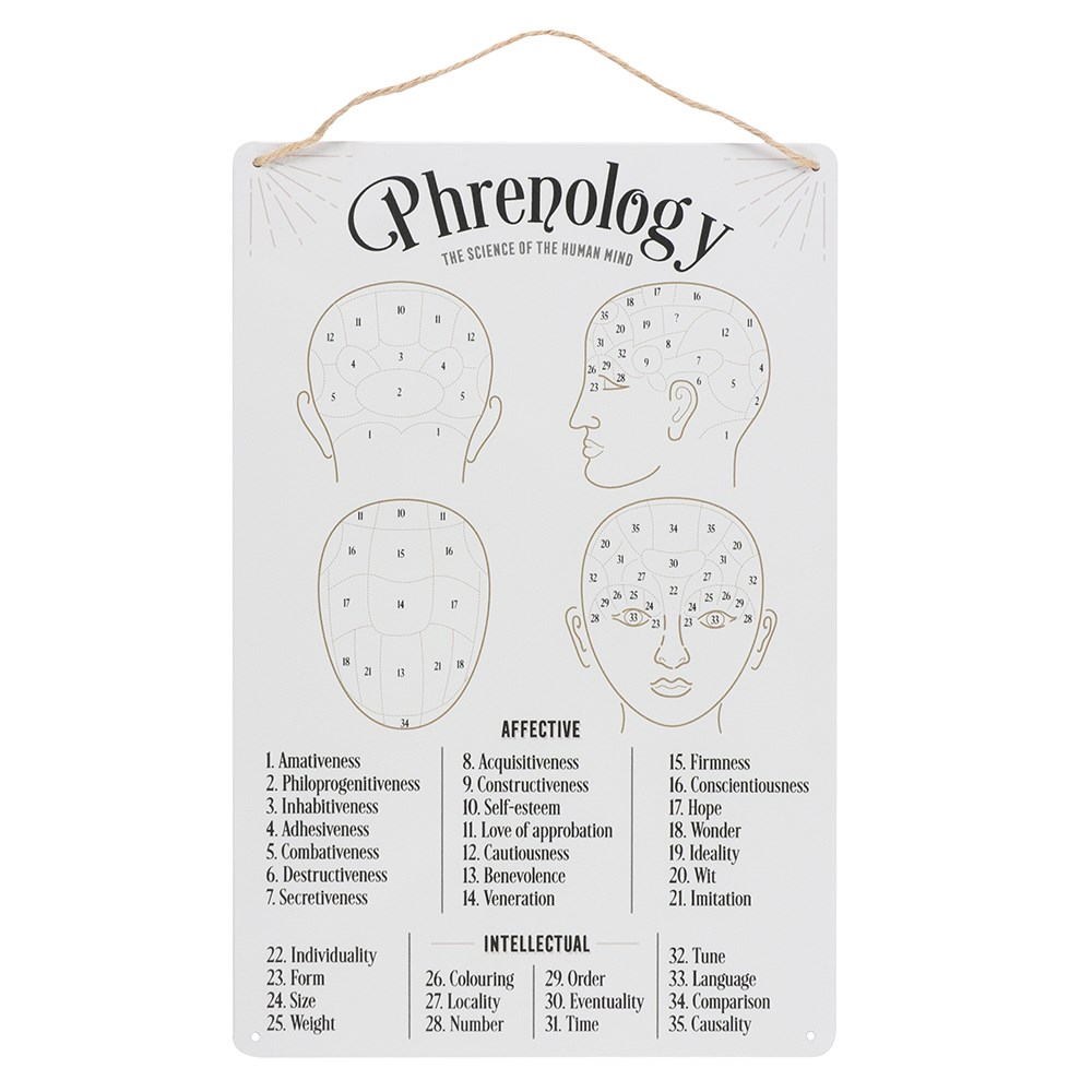 14186 Phrenology Map Metal Sign