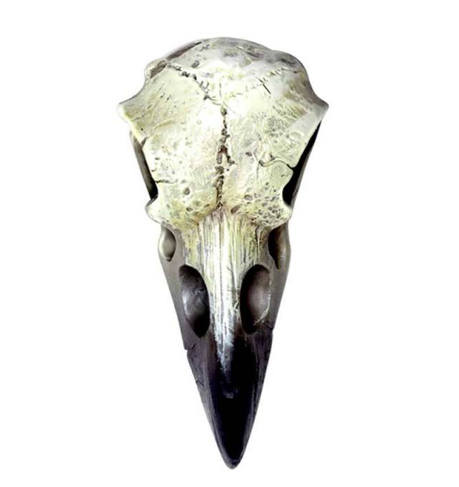 14643 Small Raven Skull C/216